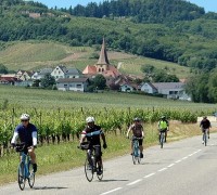 Alsace Biking Tour