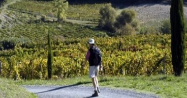 Burgundy Walking Tour