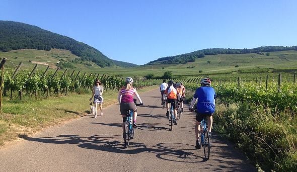 Alsace Biking Tour