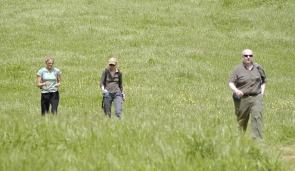 Tuscany Walking Tour